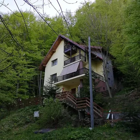 ホームステイ Casa Din Padure *