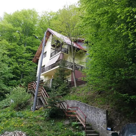 ホームステイ Casa Din Padure