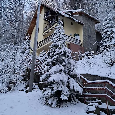 Casa Din Padure